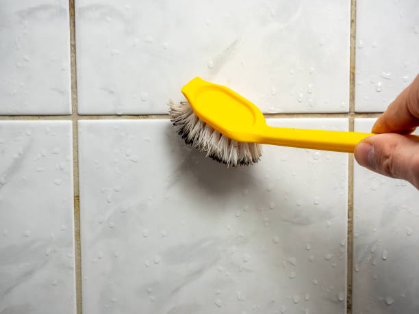 Best Professional Mold Removal  in Santa Paula, CA
