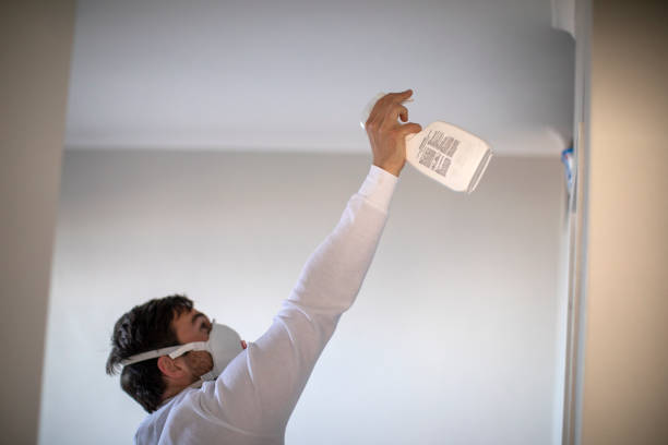 Water Damage Restoration in Santa Paula, CA