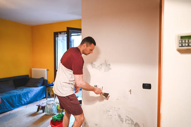 Best Mold Removal Company Near Me  in Santa Paula, CA